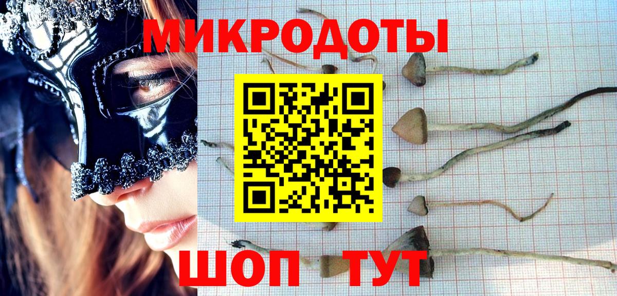 Галлюциногенные грибы мицелий  Вход с VPN  Можайск  хочу наркоту  Галлюциногенные грибы ЛСД 